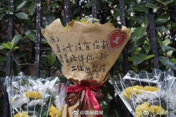 🤔队记：杨瀚森夏联不打最后一场是明智的 避免像奎因一样受伤